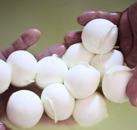 Bocconcini di Bufala